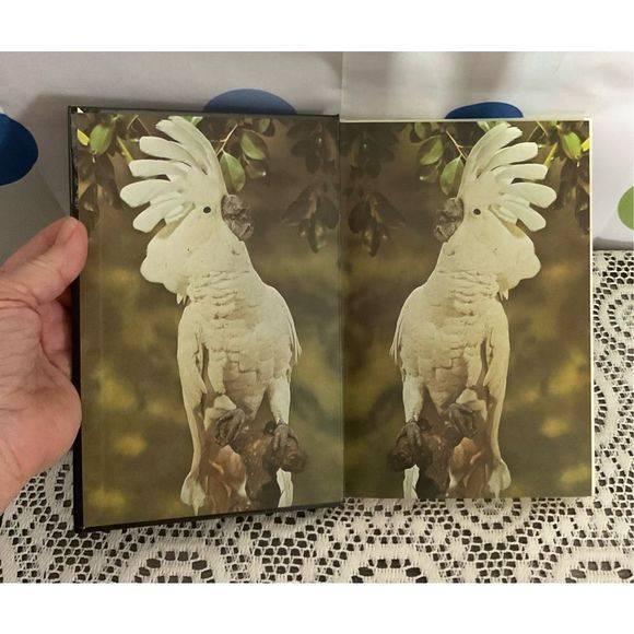 1981 Handbook of Cockatoos By Dr. A.E. Decoteau ❤️🍒 - Picture 8 of 13